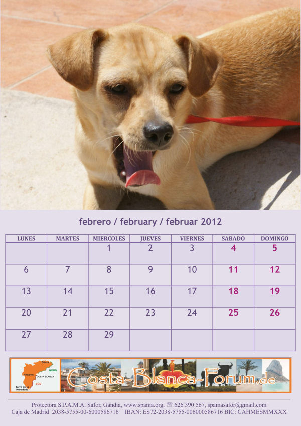 Verkauf Kalender Tiere